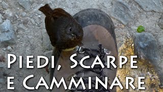 Camminare scarponi ghette ecc  Trekking Tutorial 07 [upl. by Boehmer]