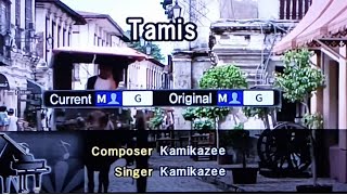 TAMIS Kamikazee 🎵Karaoke Version🎵 [upl. by Ewnihc]