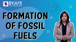 How Are Fossil Fuels Formed  Class 5  Learn With BYJUS [upl. by Boser]