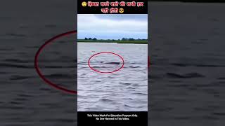 motivation animals fshort video fishing shortsyoutube wildlife bhootwalacartoon crocodile [upl. by Eicnahc]