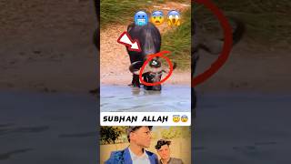 Subhan Allah 😱😇Islamic video allahuakbar shortsfeed [upl. by Elmina]