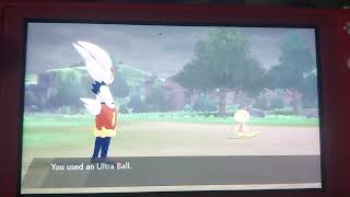 how to catch scraggy in pokemon sword and shield [upl. by Meggy]