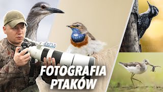 Jak Zacząć Fotografować Ptaki  Przewodnik dla Początkujących [upl. by Stormi]