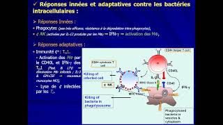 17 IMMUNOLOGIE S5  Réponses immunitaires antiinfectieuses [upl. by Africa]