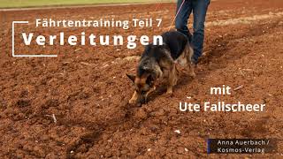 Verleitungstraining  Fährtenarbeit Teil 7 [upl. by Dnomyad]