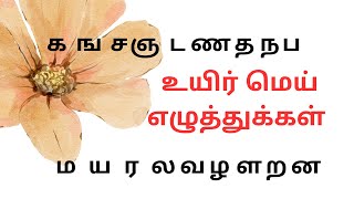 தமிழ் உயிர்மெய் எழுத்துக்கள்  உயிர்மெய் எழுத்துக்கள் UyirMei Ezhuthukkal  Learn Tamil Alphabet [upl. by Mckee376]