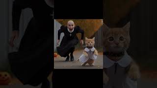 Autumn Whimsy The Adventures of a Ginger Kitten and Mysterious Encounters cat kitten aicat ai [upl. by Bartie]