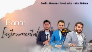 David Mocanu amp Pavel Zeta amp Alex Bahica  BANAT INSTRUMENTAL 2024  AUDIO [upl. by Sualakcin728]