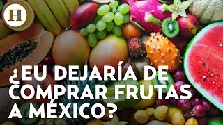 Exportación de frutas y verduras mexicanas a EU es un tema políticos Consejo Nacional Agropecuario [upl. by Kralc]