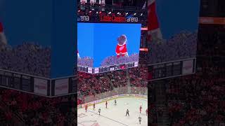 Detroit Red Wings EEEEOOOO 🐹 redwings freddiemercury [upl. by Volnay]