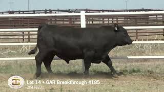 Lot 14 G A R Breakthrough 4185 [upl. by Martz]