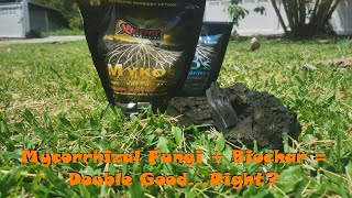 Ep1 Mycorrhizal Fungi  Biochar  Double GoodRight [upl. by Michelle579]