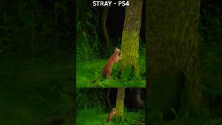 STRAY  PS4 [upl. by Fabri]