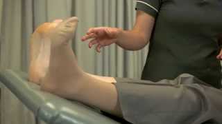 Lower Limb Chapter 6 Lymphatic Stimulation Exercise [upl. by Neelhtak]