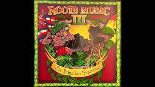 Bruddah Waltah amp Island Afternoon  Hawaiian Lands  Roots Music III [upl. by Adnolat373]