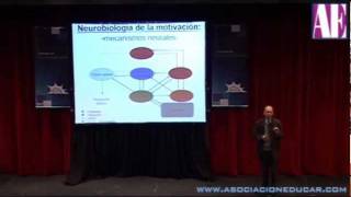 Neurobiología de la motivación Dr Prof Mario Vestfrid [upl. by Oicnoel252]