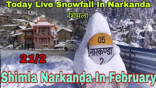 Today Live Snowfall in Narkanda  Narkanda in February [upl. by Sihonn874]