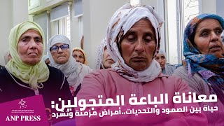 معاناة الباعة المتجولين حياة بين الصمود والتحدياتأمراض مزمنة وتشرد [upl. by Aneleasor]