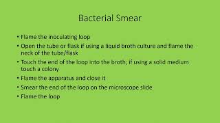 Bacterial Stain Preparation [upl. by Atnovart]