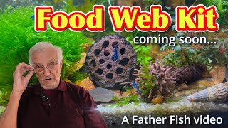 Boost Your Aquariums Ecosystem Easy DIY Natural Fish Food at Home [upl. by Alessig]