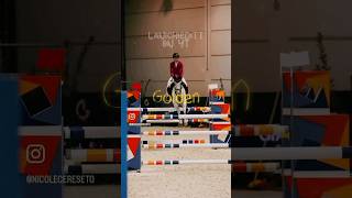 G O L D E N ✨ horse showjumping equestrian showjumpers riding worldofshowjumping [upl. by Secnirp]