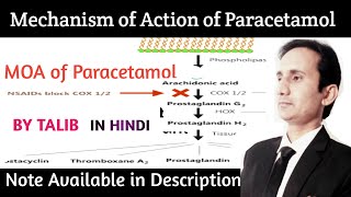 Mechanism of Action of Paracetamol In Hindi [upl. by Adyeren341]