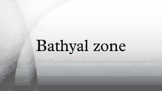 Bathyal zone [upl. by Enitsenrae]