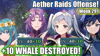 10 WHALE VLYON amp YFROBIN DESTROYED  Aether Raids  Week 291 FEH [upl. by Grimaud]