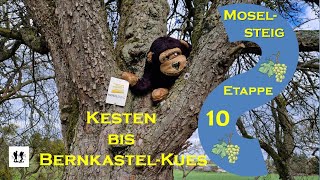 Moselsteig Etappe 10 Von Kesten nach BernkastelKues [upl. by Eusassilem890]