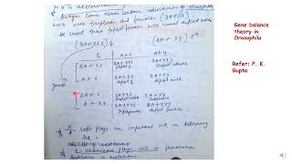 Gene Balance theory of sex determination in Drosophila genetics drosophila [upl. by Peyton]