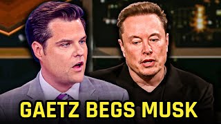 Matt Gaetz BEGS Elon Musk To Buy CNN [upl. by Hylan]