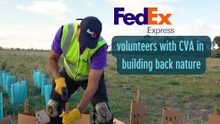 FedEx Express on volunteering with CVA buildbacknature [upl. by Vivienne]