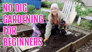 NO DIG GARDENING FOR ABSOLUTE BEGINNERS [upl. by Mushro]