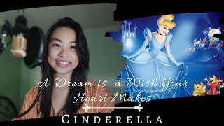 A Dream is a Wish Your Heart Makes  Cinderella  Live Cover [upl. by Einnahpets]