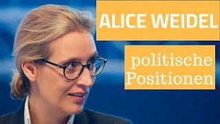 Alice Weidel  politische Positionen zusammengefasst [upl. by Abekam780]