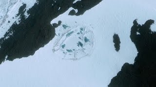 Did Anyone Else Notice This Strange Shape on the Antarctic Ice [upl. by Kiersten650]