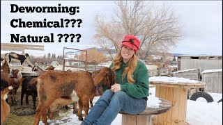 Pros Cons of Natural and Chemical Dewormers [upl. by Ahseital344]