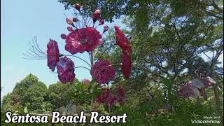 Sentosa Beach Resort [upl. by Ayokal]