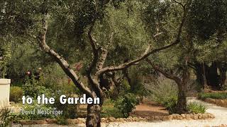 TO THE GARDEN instrumental  David MacGregor [upl. by Alletse]