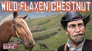 A Wild Flaxen Chestnut Hungarian Halfbred Location Near Dewberry Creek in Red Dead Redemption 2 [upl. by Zetra]