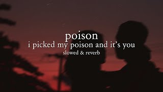 rita ora  poison tiktok remix slowed amp reverb  lyrics  i picked my poison and its you [upl. by Hcirdeirf]