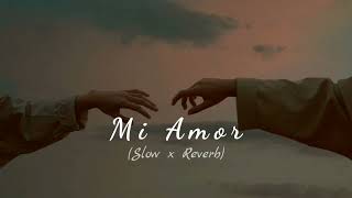 Mi Amor  Perfectly Slowed amp Reverb  LofiTwilight [upl. by Vizza]