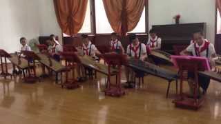 North Korea  Little Girls Sound Great Playing Cool Instrument [upl. by Zuliram]