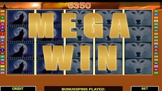 WOLF MOON CASINO MEGA WIN 🤑  TOP WIN IN 2021 أكبر فوز في [upl. by Patrizia]