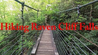 Hiking Raven Cliff Falls  Suspension Bridge [upl. by Innep]