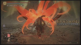 Scarlet Aeonia wrecks Radahn again  Elden Ring RL150 SD18 Solo [upl. by Rellim]