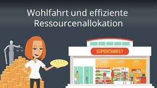 Ökonomische Wohlfahrt und Ressourcenallokation  Wohlfahrtstheorie einfach erklärt [upl. by Ydnac285]