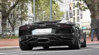 Lamborghini Aventador w Modified Exhaust  Startup and Accelerations [upl. by Yuu]