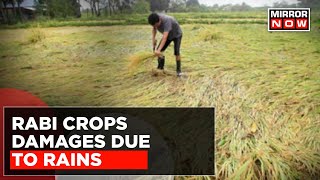 Rabi Crops Damages Due To Rains  CM Orders Survey To Assess Damaged Watch [upl. by Ecila569]