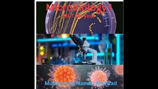 Lecture 3 MLT 1st Coagulase Test Microbiology 1 By Muhammad Naeem Shehzad [upl. by Josias]